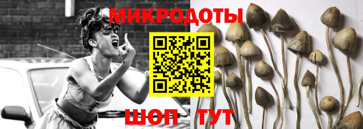 Галлюциногенные грибы мицелий Россия