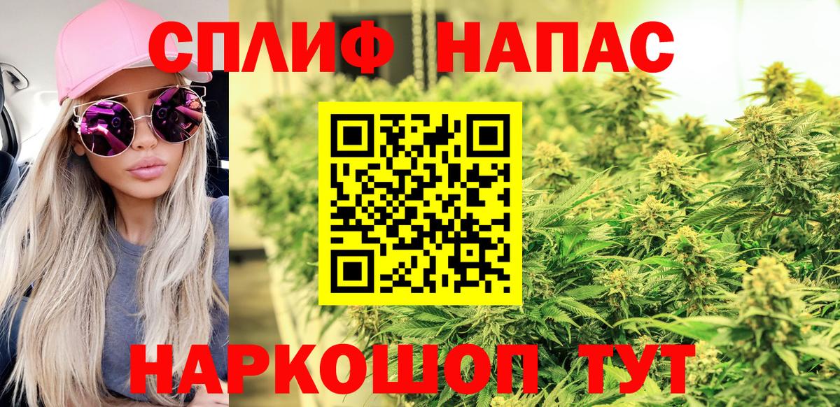 Бошки марихуана индика Россия
